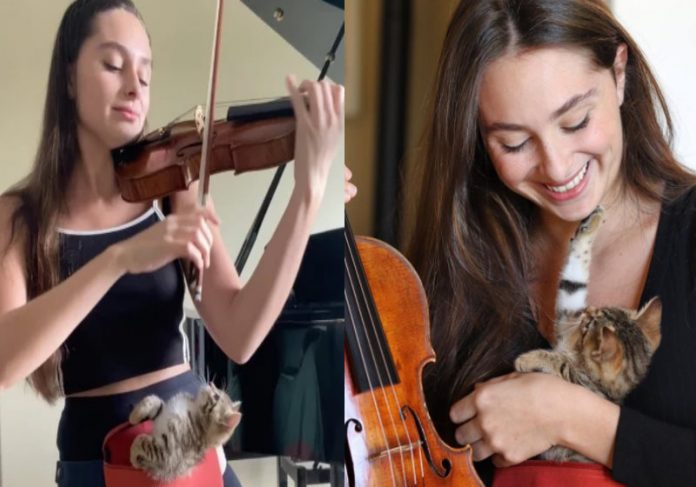 violinista_gatinha Foto: Instagram