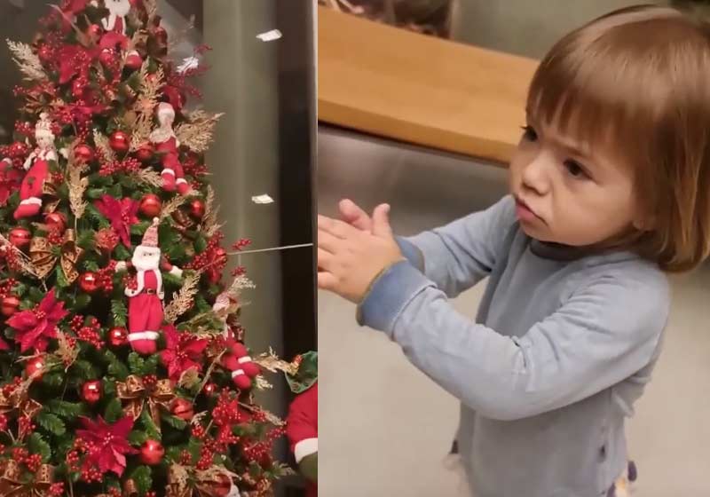 Zoe encantada com a árvore de Natal da família - Fotos: Instagram