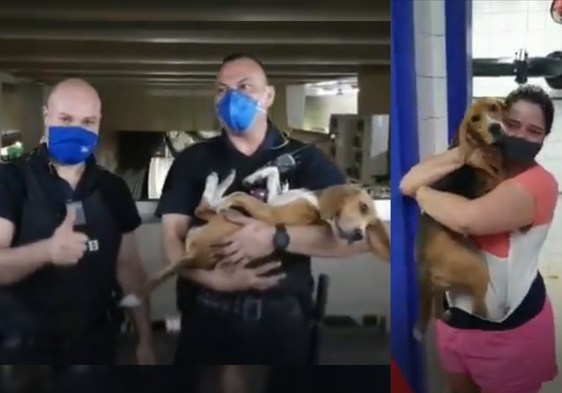 Funcionários do Metrô, Bailey e a dona - Fotos: reprodução / Twitter