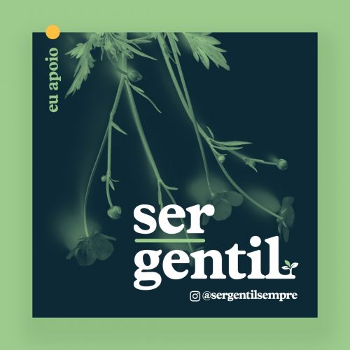 Arte da campanha - Foto: divulgação