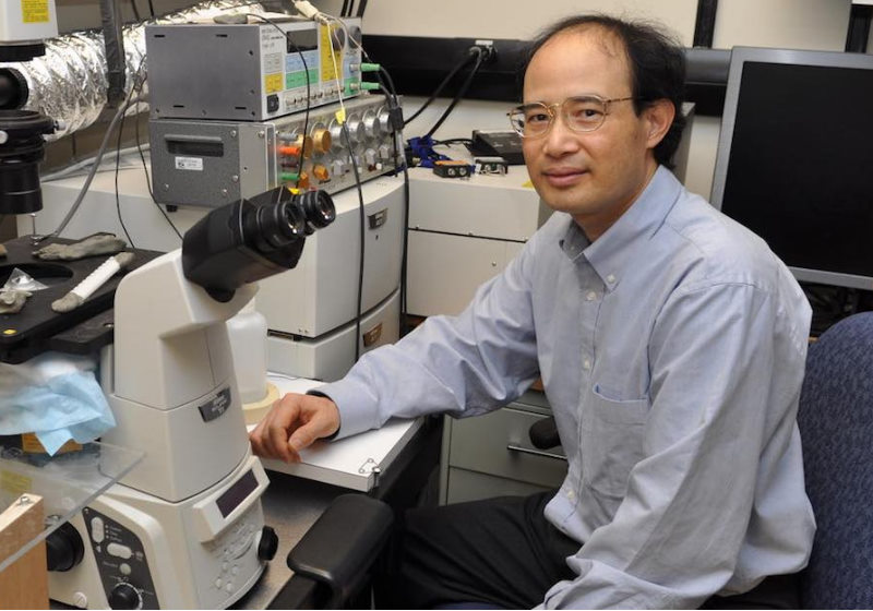 O Dr. Wayne Chen líder da pesquisa Foto: Libin Cardiovascular Institute