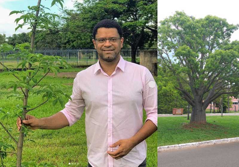 Professor André e o baobá - Fotos: reprodução / Instagram