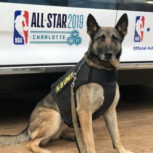 K9 Cody, cão policial do ano - Foto: American Humane