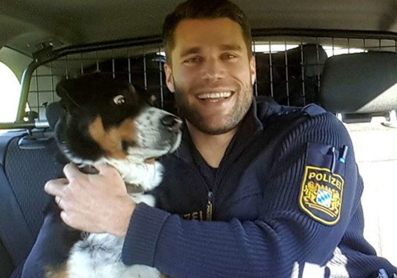 Cão fujão espantado com a "prisão"- Foto: Polícia da Franconia Central