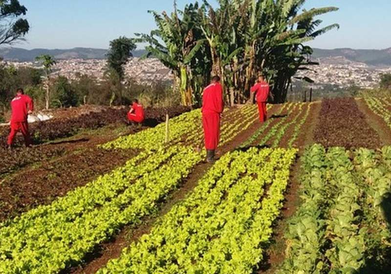 Detentos trabalhando na hora - Foto: Seds/Divulgação
