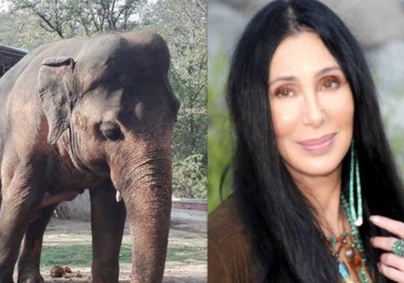 Foto: WorldAnimalNews