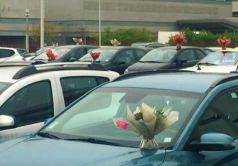 Flores em todos os carros do estacionamento do hospital - Foto: reprodução / Huffpost