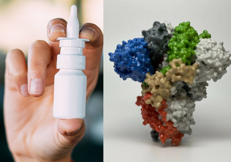 Proteína espinho do SARS-CoV-2 Foto: reprodução Hypesciense