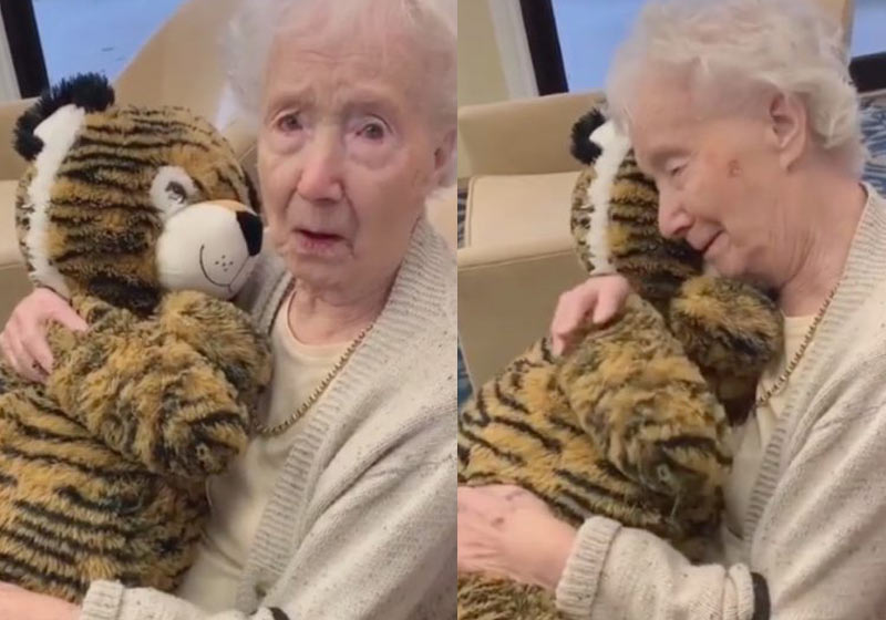 O tigre e a vovó - Fotos: Beka Fitz/TikTok