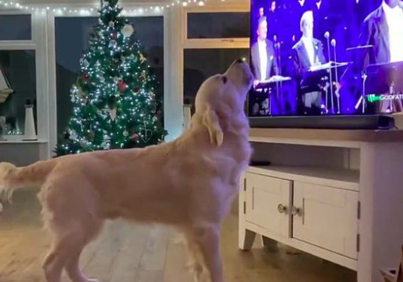 Hugo "cantando" com Pavarotti - Foto: reprodução / redes sociais