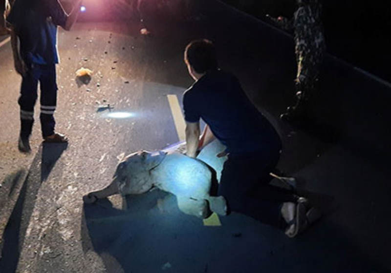 Foto: reprodução Reuters