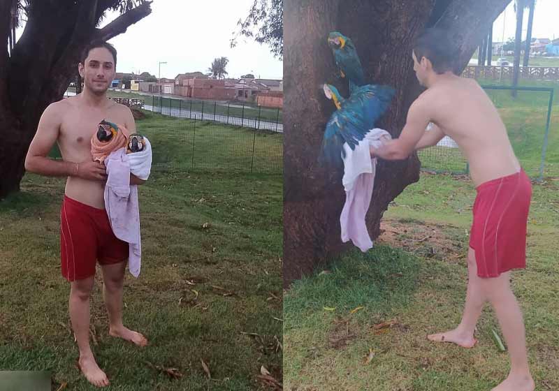 Diego salvou duas ararinhas - Fotos: reprodução / Instagram