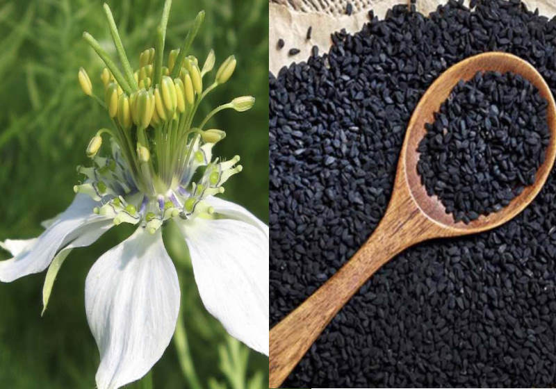 Foto: Creative Commons