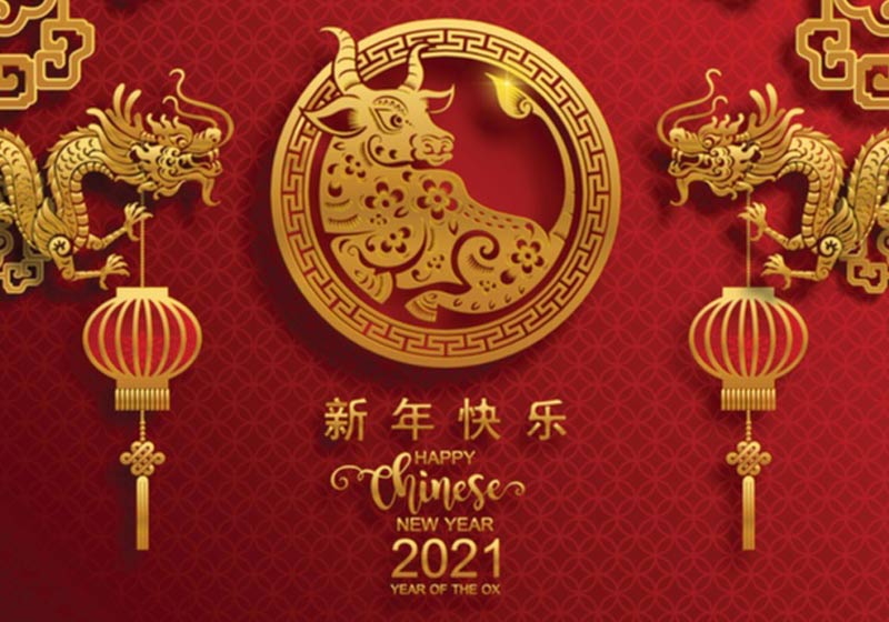 Ano do Boi no Horóscopo Chinês - Foto: reprodução