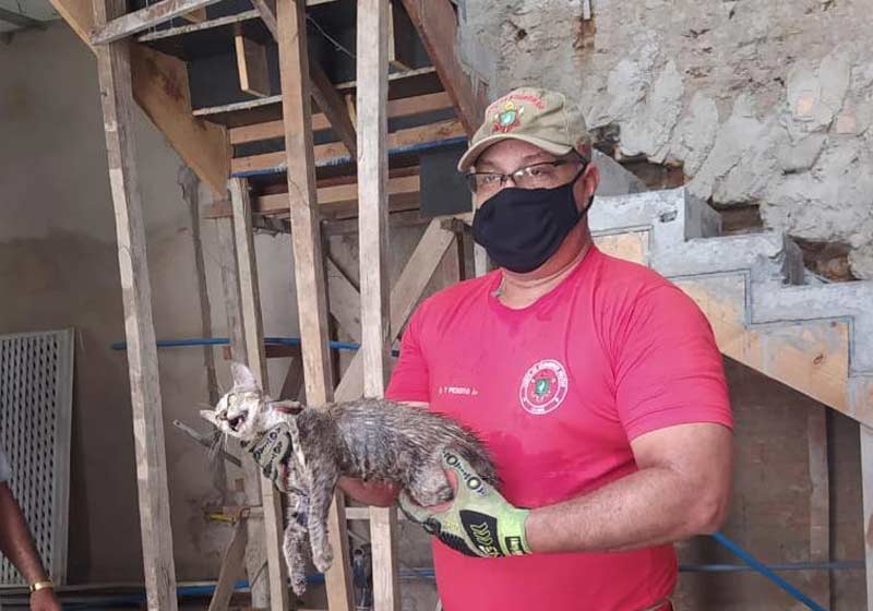 Bombeiro com o gato resgatado - Foto: divulgação