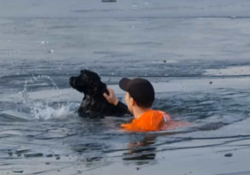 Foto: reprodução Facebook