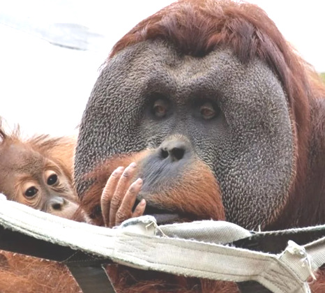 Fotos: Denver Zoo