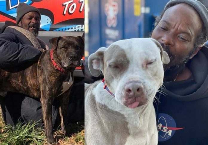 sem-teto-heroi-animais-close Keith Walker e os animais - Fotos: Gracie Hamlin / W-Underdogs