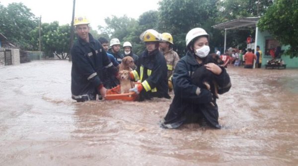 Bombeiros levando cães no colo - Foto: Corpo de Bombeiros Voluntário de Caacupé
