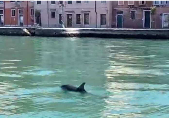 canal_veneza Foto: reprodução Guarda Costeira de Veneza