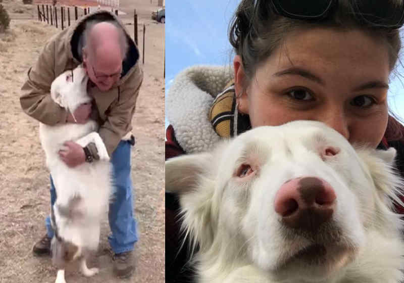 Foto: reprodução Tik Tok