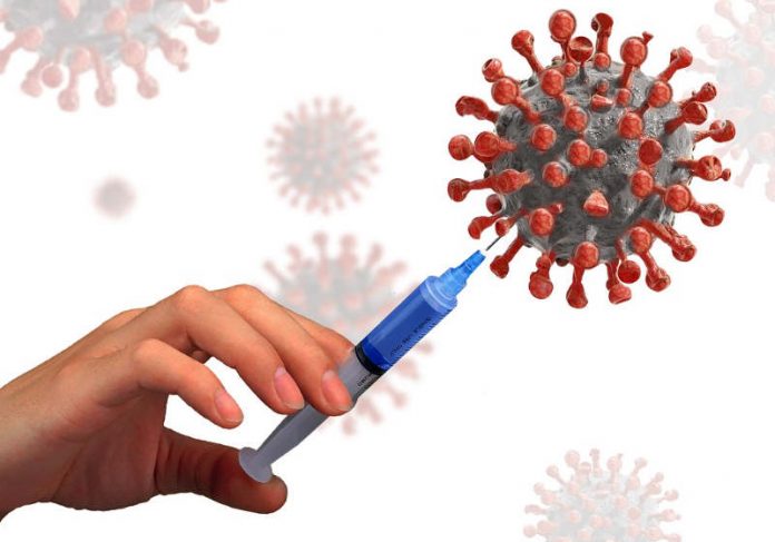 cepa_virus_estudo Foto: Pixabay