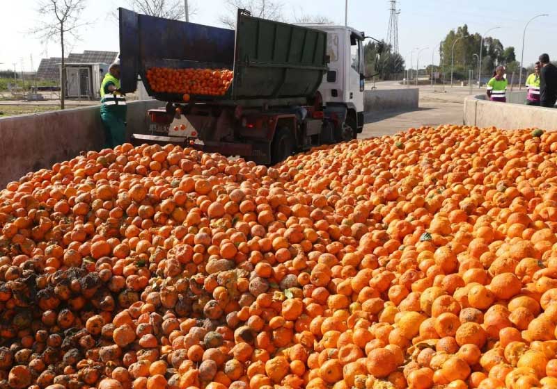 Laranjas são recicladas em uma estação de tratamento de águas residuais urbanas em Sevilha - Foto: Emasesa