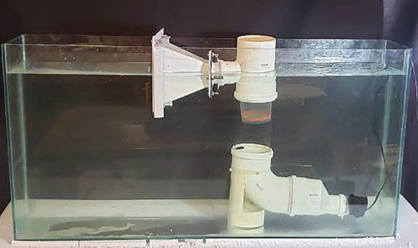 Filtragem de microplásticos em aquário simula resultados em uma ETA - Foto: Arquivo Pessoal