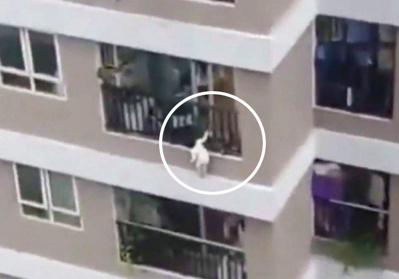 Menina pendurada no 12º andar de prédio no Vietnã - Foto: reprodução / Twitter