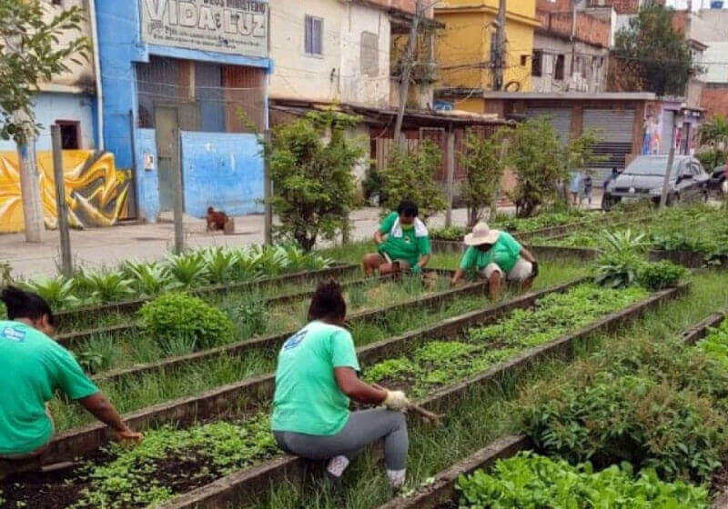 A Horta Comunitária de Manguinhos doa alimentos para toda a comunidade e moradores de rua. - Foto: reprodução