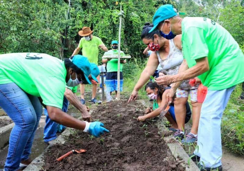 Projeto "Quem planta, Colhe", no Jardim Botânico de Santos. - Foto: Prefeitura de Santos