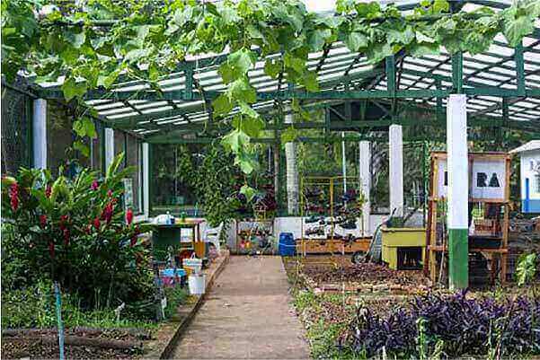 Centro de Aprendizagem em Compostagem e Agricultura Urbana que fica dentro do Jardim Botânico de Santos. - Foto: Prefeitura de Santos