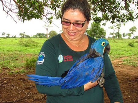 Neiva com arara-azul - Foto: divulgação