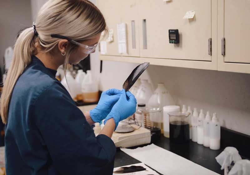 O solvente remove óleo em animais atingidos por derramamento e sem prejudicar a saúde deles. Foto: reprodução Crude Spill Cleaning Co