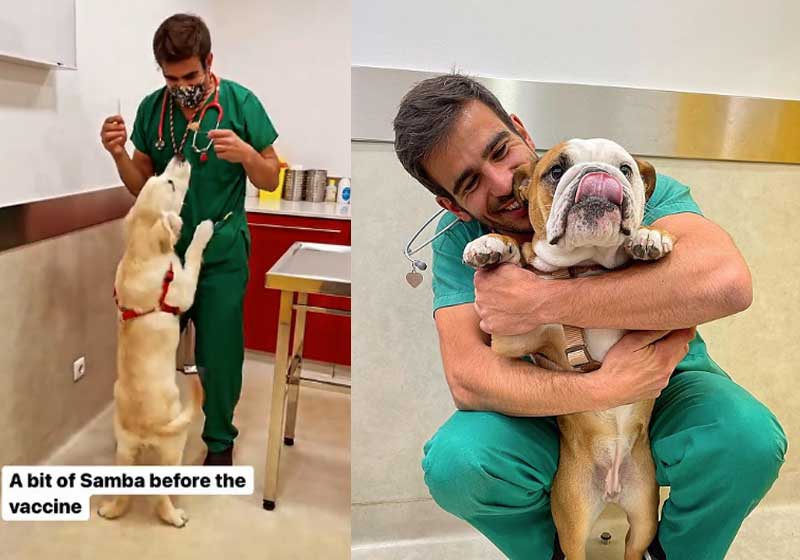 Técnica do André para distrair animais na hora da vacina - Fotos: reprodução Instagram