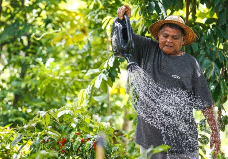 O Projeto Água + Acesso já existe desde 2017, mas foi intensificado em 2020, por causa da pandemia. - Foto: divulgação