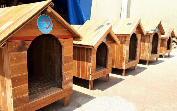 Casinhas de cachorro produzidas por detentos do CDP de Serra Azul (SP) serão doadas a ONGs — Foto: SAP/Divulgação