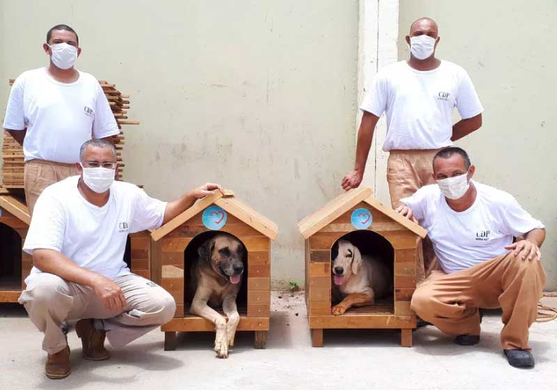 Detentos produzem casinhas de cachorro para doação no CDP de Serra Azul (SP) — Foto: SAP/Divulgação