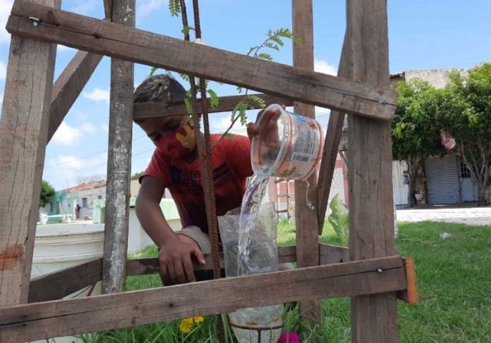 garoto-arvores Emerson sonha em ver a cidade que mora mais arborizada. Ele plantou 30 árvores em um mês. - Foto: Wanderbeg Belém