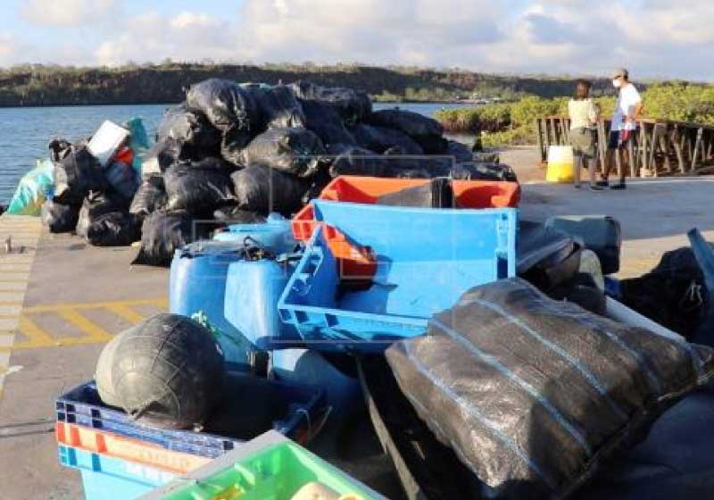 As duas ações para retirada do lixo das ilhas Galápagos movimentaram ambientalistas de todas as idades - Foto: EFE