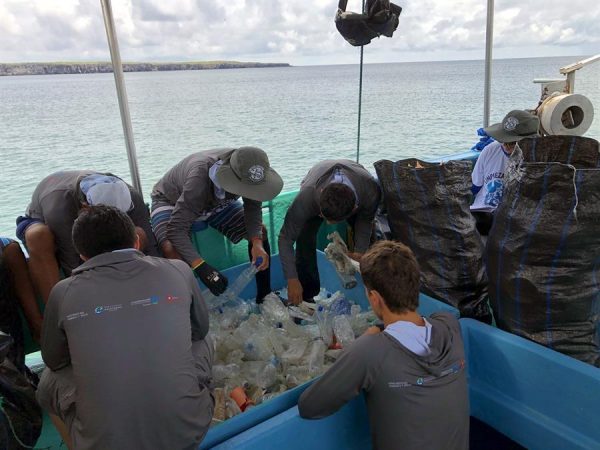 Grupo pretende realizar limpezas mensais para eliminar todo o lixo marinho das ilhas. - Foto: EFE