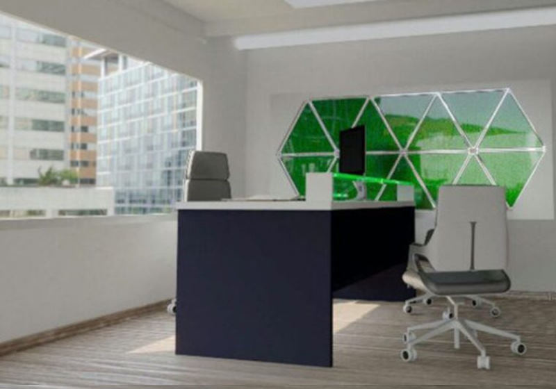 Foto: Adán Ramirez Sánchez / GreenFluidics