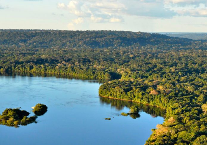adote-um-parque O programa Adote um Parque é uma iniciativa do Ministério do Meio Ambiente. - Foto: ICMbio