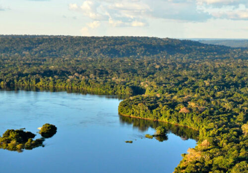 O Brasil da diversidade ética tem de refletir na ciência, ecologia tropical é uma das áreas. - Foto: ICMbio