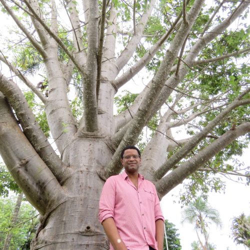 Professor André Lúcio ao lado de baobá gigante em Brasília - Foto: arquivo pessoal