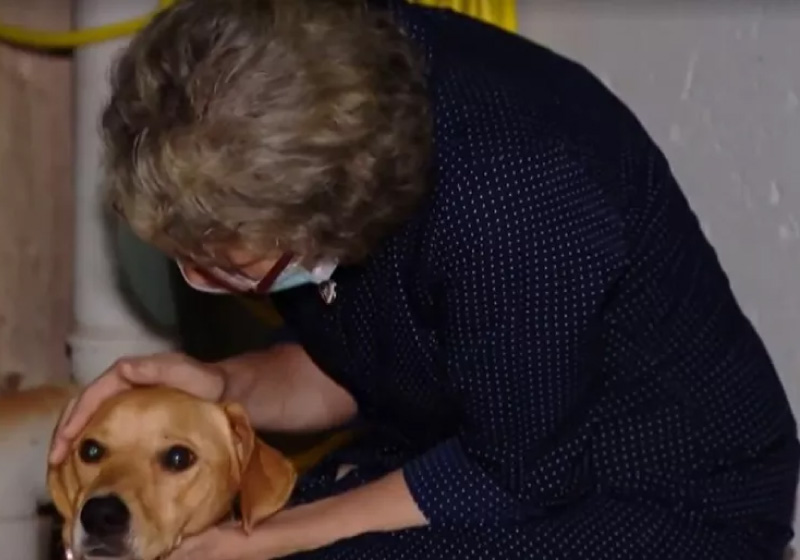 Ruth Selena Melendez Ruiz e Charlie após se reencontrarem em Uberlândia — Foto: Reprodução/ TV Integração