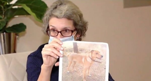 Busca por Charlie. - Foto: Reprodução/ TV Integração
