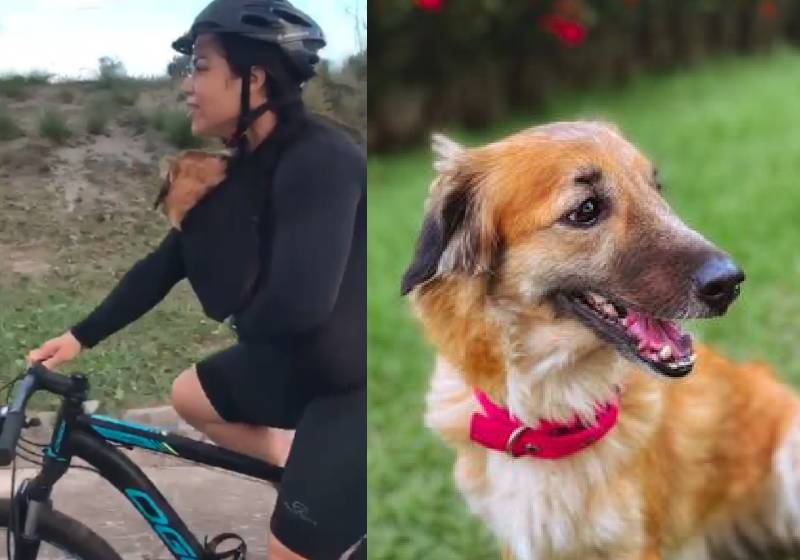 Jamile resgatou a cachorra na estrada e levou pra casa dentro da blusa - Fotos: arquivo pessoal