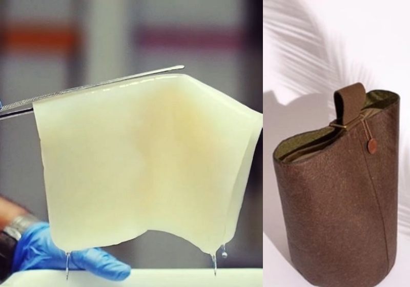 Couro vegano feito de água de coco - Fotos: Malai Biomaterials Design Pvt Ltd