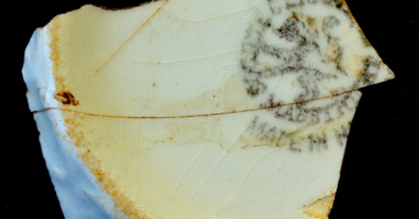 Louça encontrada - Foto: Scientia Consultoria Científica